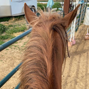 Meet your Posher, Kassi